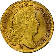 France Louis D'or Louis XIV 1690 D KM# 278.3 LVD XIIII D G FR ET NAV REX coin obverse