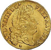 France Louis D'or Louis XIV 1690 N KM# 278.11 LVD XIIII D G FR ET NAV REX coin obverse