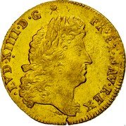 France Louis D'or Louis XIV 1691 Crowned L KM# 278.20 LVD XIIII D G FR ET NAV REX coin obverse