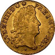 France Louis D'or Louis XIV 1691 & KM# 278.18 LVD XIIII D G FR ET NAV REX coin obverse