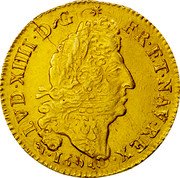 France Louis D'or Louis XIV 1694 D KM# 302.6 LVD XIIII D G FR ET NAV REX 1694 coin obverse France Louis D'or Louis XIV 1694 D KM# 302.6 LVD XIIII D G FR ET NAV REX 1694 coin obverse