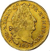 France Louis D'or Louis XIV 1694 V KM# 302.19 LVD XIIII D G FR ET NAV REX 1694 coin obverse France Louis D'or Louis XIV 1694 V KM# 302.19 LVD XIIII D G FR ET NAV REX 1694 coin obverse