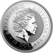 Australia 10 Dollars Lunar Monkey on a branch 2004 KM# 676 ELIZABETH II AUSTRALIA 10 DOLLARS IRB coin obverse Australia 10 Dollars Lunar Monkey on a branch 2004 KM# 676 ELIZABETH II AUSTRALIA 10 DOLLARS IRB coin obverse