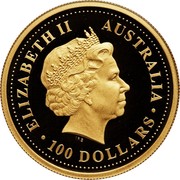 Australia 100 Dollars The Australian Nugget 2003 KM# 906 ELIZABETH II AUSTRALIA 100 DOLLARS IRB coin obverse Australia 100 Dollars The Australian Nugget 2003 KM# 906 ELIZABETH II AUSTRALIA 100 DOLLARS IRB coin obverse
