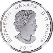 Canada 20 Dollars Glistening North - Arctic Tern 2017 Proof ELIZABETH II CANADA D G REGINA 2017 SB coin obverse Canada 20 Dollars Glistening North - Arctic Tern 2017 Proof ELIZABETH II CANADA D G REGINA 2017 SB coin obverse