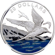 Canada 20 Dollars Glistening North - Arctic Tern 2017 Proof 20 DOLLARS DCW coin reverse Canada 20 Dollars Glistening North - Arctic Tern 2017 Proof 20 DOLLARS DCW coin reverse