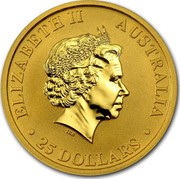 Australia 25 Dollars Two Playing Kangaroos 2010 KM# 1363 ELIZABETH II AUSTRALIA 25 DOLLARS IRB coin obverse Australia 25 Dollars Two Playing Kangaroos 2010 KM# 1363 ELIZABETH II AUSTRALIA 25 DOLLARS IRB coin obverse