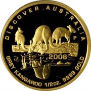 Australia 50 Dollars Grey Kangaroo 2006 P Proof KM# 955 DISCOVER . AUSTRALIA P 2006 GREY KANGAROO 1/2OZ. 9999 GOLD coin reverse Australia 50 Dollars Grey Kangaroo 2006 P Proof KM# 955 DISCOVER . AUSTRALIA P 2006 GREY KANGAROO 1/2OZ. 9999 GOLD coin reverse