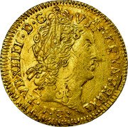 France Louis D'or Louis XIV 1702 N KM# 334.14 LVD XIIII D G FR ET NAV REX 1702 coin obverse