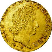 France Louis D'or Louis XIV 1704 BB KM# 365.3 LVD XIIII D G FR ET NAV REX 1704 coin obverse France Louis D'or Louis XIV 1704 BB KM# 365.3 LVD XIIII D G FR ET NAV REX 1704 coin obverse