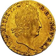 France Louis D'or Louis XIV 1704 Numeral 9 KM# 365.25 LVD XIIII D G FR ET NAV REX 1704 coin obverse France Louis D'or Louis XIV 1704 Numeral 9 KM# 365.25 LVD XIIII D G FR ET NAV REX 1704 coin obverse