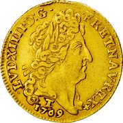 France Louis D'or Louis XIV 1709 T KM# 390.18 LVD XIIII D G FR ET NAV REX 1709 T coin obverse France Louis D'or Louis XIV 1709 T KM# 390.18 LVD XIIII D G FR ET NAV REX 1709 T coin obverse