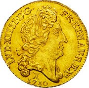 France Louis D'or Louis XIV 1710 X KM# 390.21 LVD XIIII D G FR ET NAV REX X 1710 coin obverse France Louis D'or Louis XIV 1710 X KM# 390.21 LVD XIIII D G FR ET NAV REX X 1710 coin obverse