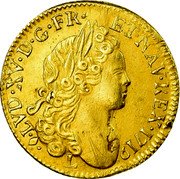 France Louis D'or Louis XV 1719 L KM# 438.9 LVD XV D G FR ET NAV REX 1719 L coin obverse France Louis D'or Louis XV 1719 L KM# 438.9 LVD XV D G FR ET NAV REX 1719 L coin obverse