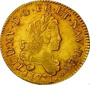 France Louis D'or Louis XV 1721 L KM# 461.11 LUD XV D G FR ET NAV REX 1721 coin obverse France Louis D'or Louis XV 1721 L KM# 461.11 LUD XV D G FR ET NAV REX 1721 coin obverse