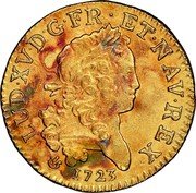 France Louis D'or Louis XV 1723 D KM# 468.5 LUD XV D G FR ET NAV REX 1723 coin obverse France Louis D'or Louis XV 1723 D KM# 468.5 LUD XV D G FR ET NAV REX 1723 coin obverse