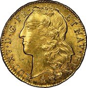 France 2 Louis D'or Louis XV 1743 O KM# 519.13 LUD. XV. D. G. FR. ET NAV. REX coin obverse France 2 Louis D'or Louis XV 1743 O KM# 519.13 LUD. XV. D. G. FR. ET NAV. REX coin obverse