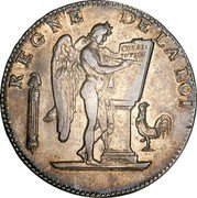 France Six Livres Genius of Liberty LAN II B KM# 625.1 REGNE DE LA LOI CONSTI TUTION coin obverse France Six Livres Genius of Liberty LAN II B KM# 625.1 REGNE DE LA LOI CONSTI TUTION coin obverse
