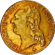 France Louis D'or Louis XVI 1785 A KM# 591.1 LUD XVI D G FR ET NAV REX coin obverse France Louis D'or Louis XVI 1785 A KM# 591.1 LUD XVI D G FR ET NAV REX coin obverse