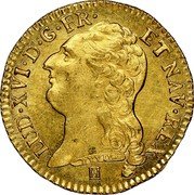 France Louis D'or Louis XVI 1785 K KM# 591.8 LUD XVI D G FR ET NAV REX DUVIV. coin obverse France Louis D'or Louis XVI 1785 K KM# 591.8 LUD XVI D G FR ET NAV REX DUVIV. coin obverse