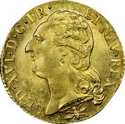 France Louis D'or Louis XVI 1786 D KM# 591.5 LUD XVI D G FR ET NAV REX DUVIV coin obverse France Louis D'or Louis XVI 1786 D KM# 591.5 LUD XVI D G FR ET NAV REX DUVIV coin obverse