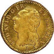 France Louis D'or Louis XVI 1786 T KM# 591.14 LUD XVI D G FR ET NAV REX DUVIV coin obverse France Louis D'or Louis XVI 1786 T KM# 591.14 LUD XVI D G FR ET NAV REX DUVIV coin obverse