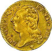 France Louis D'or Louis XVI 1787 I KM# 591.7 LUD XVI D G FR ET NAV REX DUVIV coin obverse France Louis D'or Louis XVI 1787 I KM# 591.7 LUD XVI D G FR ET NAV REX DUVIV coin obverse