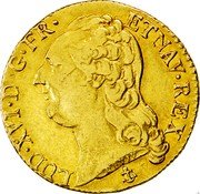 France Louis D'or Louis XVI 1789 H KM# 591.6 LUD XVI D G FR ET NAV REX DUVIV coin obverse France Louis D'or Louis XVI 1789 H KM# 591.6 LUD XVI D G FR ET NAV REX DUVIV coin obverse
