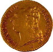 France Louis D'or Louis XVI 1789 M KM# 591.9 LUD XVI D G FR ET NAV REX DUVIV coin obverse