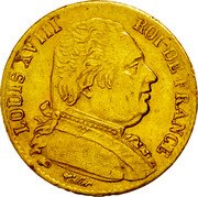 France 20 Francs Louis XVIII 1814 K KM# 706.3 LOUIS XVIII ROI DE FRANCE TIOLIER coin obverse France 20 Francs Louis XVIII 1814 K KM# 706.3 LOUIS XVIII ROI DE FRANCE TIOLIER coin obverse