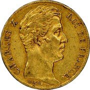 France 20 Francs Charles X 1828 T KM# 726.3 CHARLES X ROI DE FRANCE. MICHAUT coin obverse