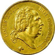 France 40 Francs Louis XVIII 1817 A KM# 713.1 LOUIS XVIII ROI DE FRANCE. MICHAUT F. coin obverse France 40 Francs Louis XVIII 1817 A KM# 713.1 LOUIS XVIII ROI DE FRANCE. MICHAUT F. coin obverse