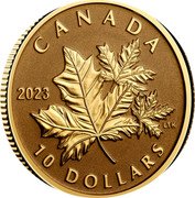 Canada 10 Dollars Everlasting Maple Leaf 2023 CANADA 10 DOLLARS 2023 LTK coin reverse Canada 10 Dollars Everlasting Maple Leaf 2023 CANADA 10 DOLLARS 2023 LTK coin reverse