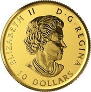 Canada 10 Dollars (Great-Horned Owl. Bullion) ELIZABETH II D•G•REGINA 10 DOLLARS SB coin obverse Canada 10 Dollars (Great-Horned Owl. Bullion) ELIZABETH II D•G•REGINA 10 DOLLARS SB coin obverse