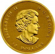 Canada 10 Dollars (Maple Leaf) 10 DOLLARS ELIZABETH II D G REGINA SB coin obverse Canada 10 Dollars (Maple Leaf) 10 DOLLARS ELIZABETH II D G REGINA SB coin obverse