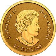 Canada 10 Dollars (Moose. Bullion) ELIZABETH II D G REGINA 10 DOLLARS SB coin obverse Canada 10 Dollars (Moose. Bullion) ELIZABETH II D G REGINA 10 DOLLARS SB coin obverse
