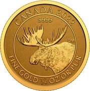 Canada 10 Dollars (Moose. Bullion) CANADA 2022 9999 FINE GOLD ¼ OZ OR PUR DM coin reverse Canada 10 Dollars (Moose. Bullion) CANADA 2022 9999 FINE GOLD ¼ OZ OR PUR DM coin reverse