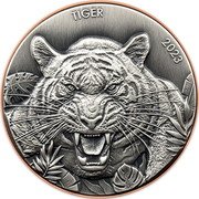 Vanuatu 10 Vatu Double Giant Predators. Tiger 2023 TIGER 2023 coin reverse Vanuatu 10 Vatu Double Giant Predators. Tiger 2023 TIGER 2023 coin reverse