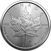 Canada 50 Dollars Maple Leaf. Transition obverse. Bullion Coinage 2023  Bullion with radial lines CANADA 9995 9995 23 FINE PLATINUM 1 OZ PLATINE PUR coin reverse Canada 50 Dollars Maple Leaf. Transition obverse. Bullion Coinage 2023  Bullion with radial lines CANADA 9995 9995 23 FINE PLATINUM 1 OZ PLATINE PUR coin reverse