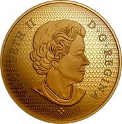 Canada 500 Dollars (Beloved Maple Leaves) ELIZABETH II D G REGINA 1952 2022 coin obverse Canada 500 Dollars (Beloved Maple Leaves) ELIZABETH II D G REGINA 1952 2022 coin obverse