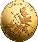 Canada 500 Dollars (Beloved Maple Leaves) 500 DOLLARS 5 OZ 9999 AU CANADA 2023 CG coin reverse Canada 500 Dollars (Beloved Maple Leaves) 500 DOLLARS 5 OZ 9999 AU CANADA 2023 CG coin reverse