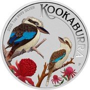 Australia 1 Dollar Kookaburra Coloured World Money Fair 2023 P KOOKABURRA 2023 1OZ 9999 SILVER WR P coin reverse Australia 1 Dollar Kookaburra Coloured World Money Fair 2023 P KOOKABURRA 2023 1OZ 9999 SILVER WR P coin reverse