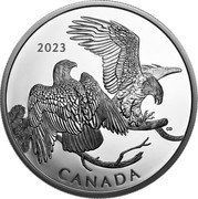 Canada 30 Dollars The Striking Bald Eagle 2023 Proof 2023 CANADA CD coin reverse Canada 30 Dollars The Striking Bald Eagle 2023 Proof 2023 CANADA CD coin reverse