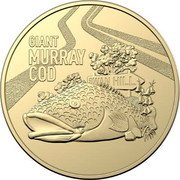 Australia 1 Dollar (The Giant Murray Cod) GIANT MURRAY COD SWAN HILL coin reverse Australia 1 Dollar (The Giant Murray Cod) GIANT MURRAY COD SWAN HILL coin reverse