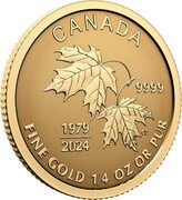 Canada 10 Dollars (45th Anniversary of Canada’s Gold Maple Leaf) CD 1979 2024 CANADA 9999 FINE GOLD 1/4 OZ OR PUR coin reverse Canada 10 Dollars (45th Anniversary of Canada’s Gold Maple Leaf) CD 1979 2024 CANADA 9999 FINE GOLD 1/4 OZ OR PUR coin reverse