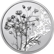 Austria 10 Euro Flower Language. Chamomile 2023  coin reverse