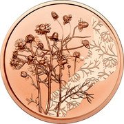 Austria 10 Euro (Flower Language. Chamomile) coin reverse Austria 10 Euro (Flower Language. Chamomile) coin reverse