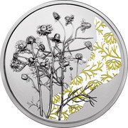 Austria 10 Euro Flower Language. Chamomile. Coloured 2023  coin reverse
