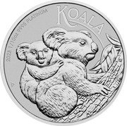Australia 15 Dollars Australian Koala 2023 P IJ P KOALA 2023 1/10 OZ 9995 PLATINUM. coin reverse Australia 15 Dollars Australian Koala 2023 P IJ P KOALA 2023 1/10 OZ 9995 PLATINUM. coin reverse