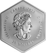 Canada 20 Dollars (Snowflake) SB 1952 2022 CANADA 2023 ELIZABETH II D G REGINA 20 DOLLARS coin obverse Canada 20 Dollars (Snowflake) SB 1952 2022 CANADA 2023 ELIZABETH II D G REGINA 20 DOLLARS coin obverse